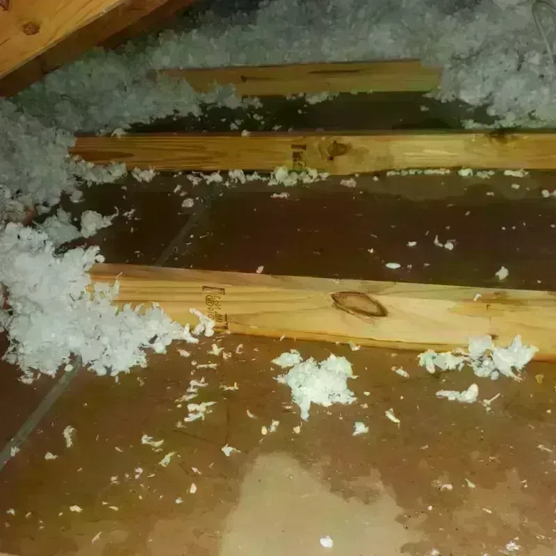 Attic Water Damage in Jeffersonville, GA